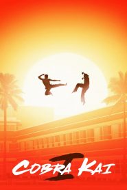 Cobra Kai: Season 1