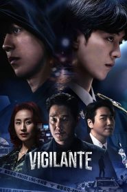 Vigilante: Season 1