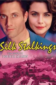 Silk Stalkings: Season 4