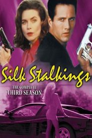 Silk Stalkings: Season 3