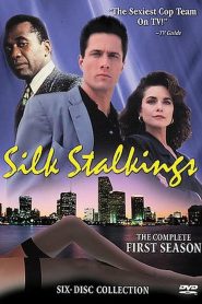 Silk Stalkings: Season 1